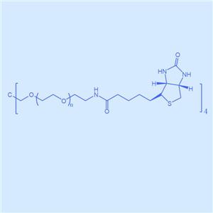 四臂聚乙二醇生物素,四臂PEG生物素,4arm-PEG-Biotin