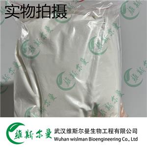 乙酰氨基阿維菌素 123997-26-2 維斯?fàn)柭锔呒冊噭?現(xiàn)貨直發(fā)13419635609