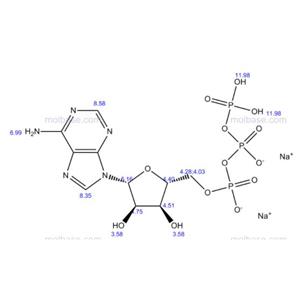 三磷酸腺苷二鈉廠家 ATP現(xiàn)貨供應(yīng)