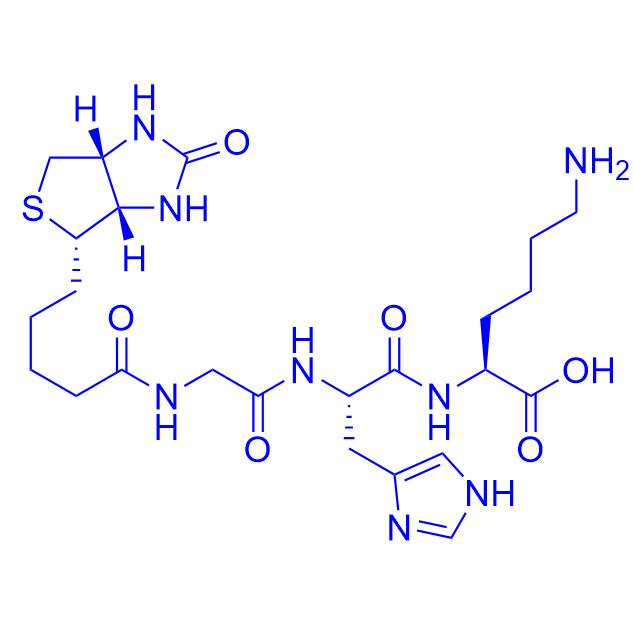 Biotinoyl Trippeptide-1 299157-54-1；299157-54-3.png