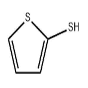 2-巰基噻吩 有機(jī)合成溶劑 7774-74-5