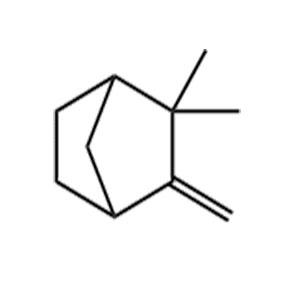 莰烯 合成香料 79-92-5