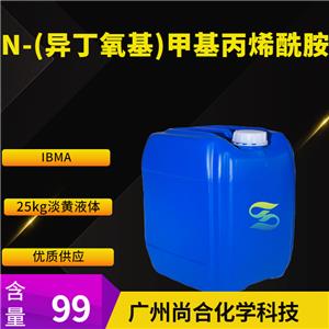 尚合 N-(異丁氧基)甲基丙烯酰胺 IBMA 16669-59-3