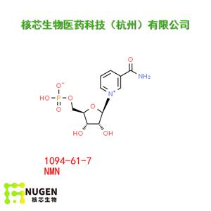 β-煙酰胺單核苷酸