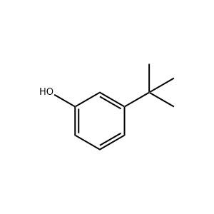 間叔丁基苯酚 有機(jī)合成中間體 585-34-2