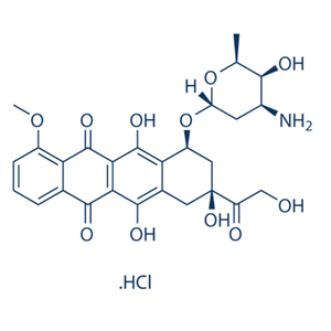 鹽酸多柔比星/鹽酸阿霉素