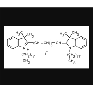 DiR細(xì)胞膜熒光探針深紅色;DiR碘化物