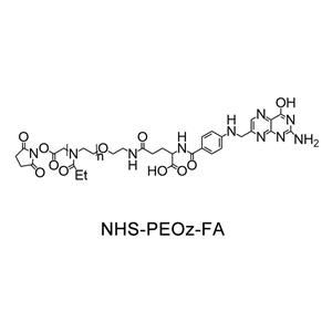 琥珀酰亞胺酯-聚(2-乙基-2-噁唑啉)-葉酸；NHS-PEOz-FA