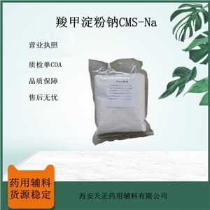 藥用級(jí)羧甲淀粉鈉 白黃顆粒狀粉末 CP20質(zhì)量標(biāo)準(zhǔn)