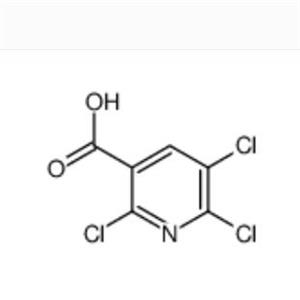 2,5,6-三氯煙酸