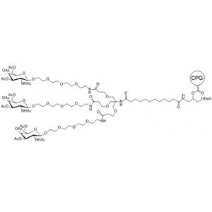 GALNAC (TEG)-CPG，N-乙酰半乳糖胺 (TEG)-CPG