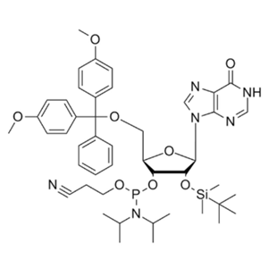 DMT-2'-O-TBDMS-I-CE-亞磷酰胺