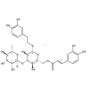 異類葉升麻苷  Isoacteoside  61303-13-7