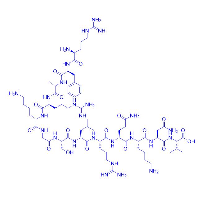 [Ser25]-PKC (19-31) 136795-05-6.png