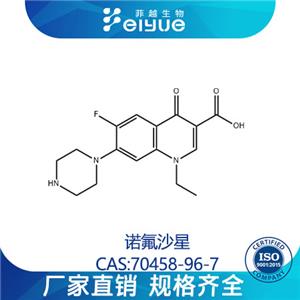 諾氟沙星原料99%高純粉--菲越生物