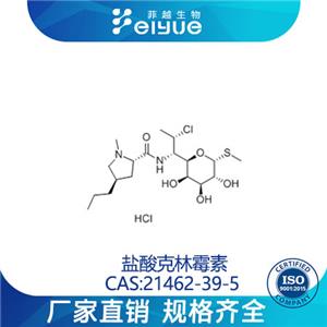 鹽酸克林霉素原料99%高純粉--菲越生物