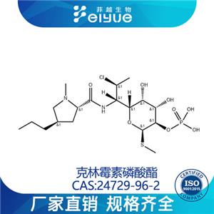 克林霉素磷酸酯原料99%高純粉--菲越生物