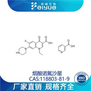 煙酸諾氟沙星原料99高純粉--菲越生物