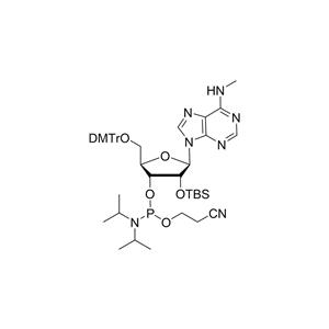 5'-DMT-2'-TBDMS-N6-Me-A-CE- Phosphoramidite