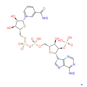 煙酰胺腺嘌呤雙核苷酸磷酸鹽，Triphosphopyridine n，53-59-8