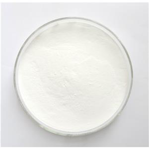 達(dá)米阿那提取物Damiana Leaf Extract Powder