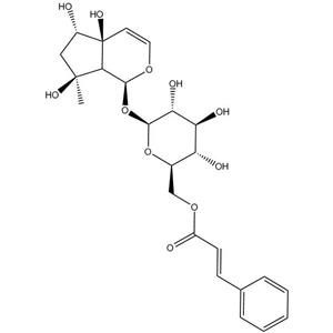 6'-O-肉桂?；蛙諀1245572-24-0