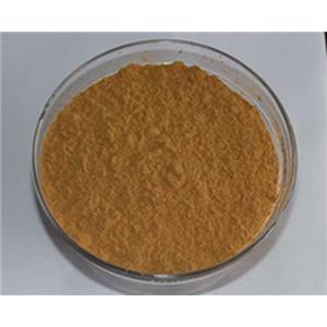 鐵皮石斛提取物10:1，多糖30%50% Dendrobium candidum extract