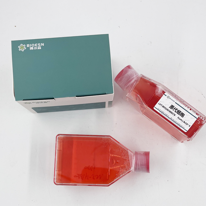 馬白介素5(IL5) ELISA Kit