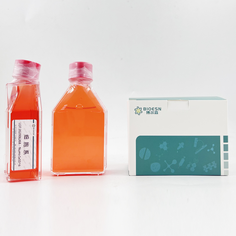 雞核因子κB(NFκB) ELISA Kit