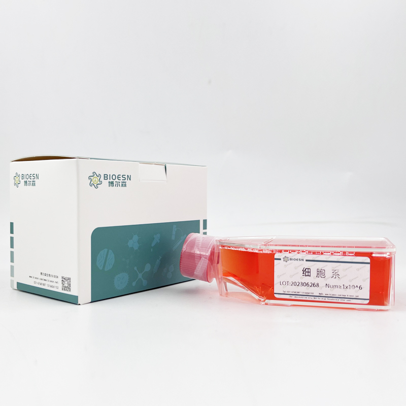 雞干擾素γ(IFNγ) ELISA Kit