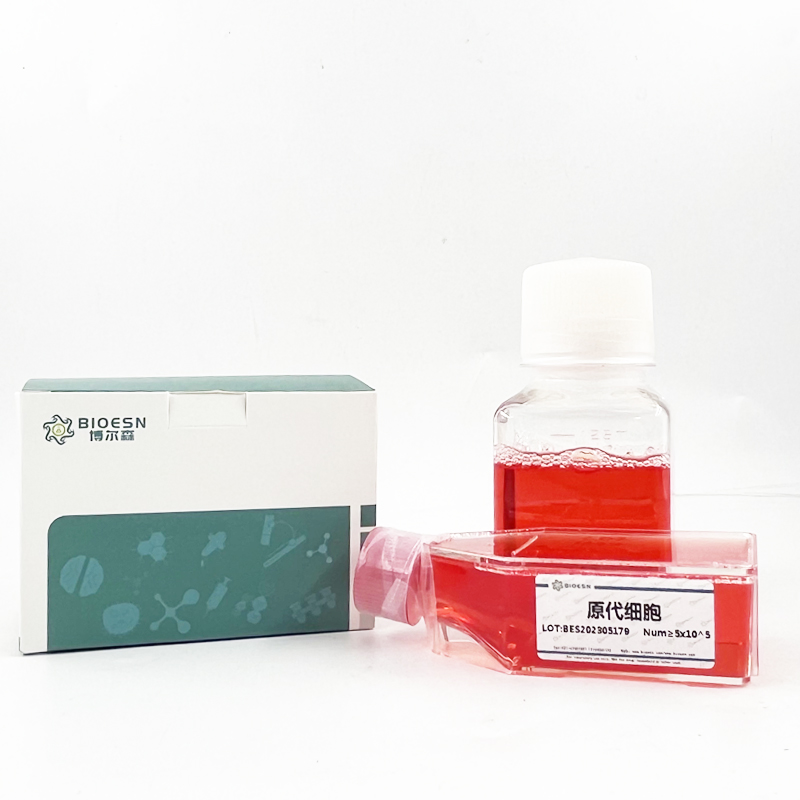 雞腦源性神經(jīng)營養(yǎng)因子(BDNF) ELISA Kit