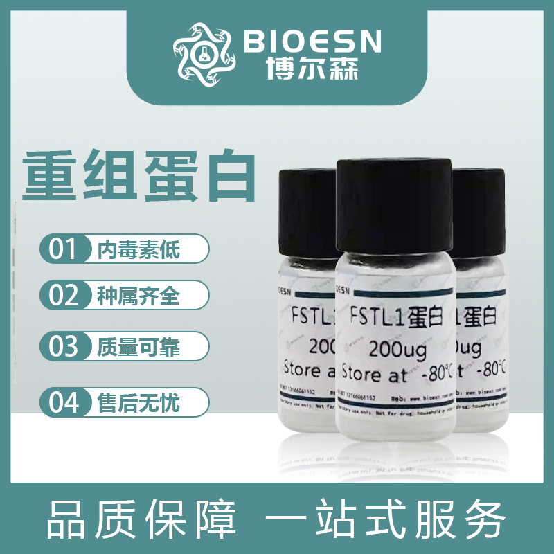 上皮中性粒細胞激活肽78(ENA78)重組蛋白