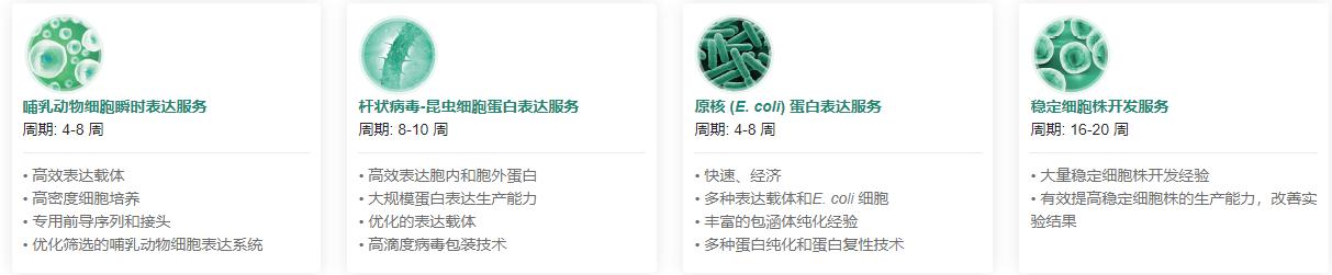 重組蛋白表達服務(wù)類型.png