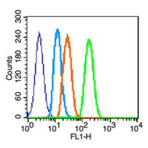 MICA MHC I類鏈相關(guān)蛋白A/組織相容性復(fù)合物MHCIa抗體