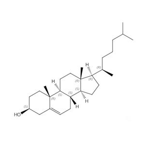 植物源膽固醇；膽甾-5-烯-3β-醇;膽脂醇;異辛甾烯醇;膽甾醇;膽甾烷醇;膽固醇;膽固醇(-20℃);膽固醇/膽甾醇