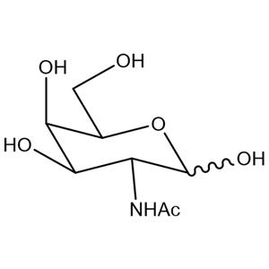 N-乙酰-D-半乳糖胺