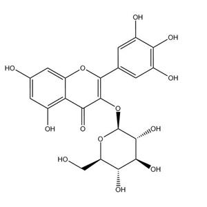 楊梅素-3-O-葡萄糖苷_19833-12-6