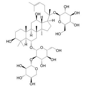 三七皂苷R1單體