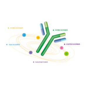 義翹神州——抗體定制服務