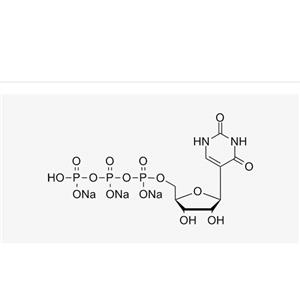 pUTP sodium solution(100 mM)