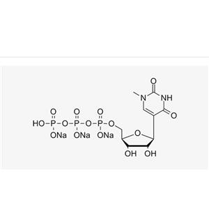 N1-Me-pUTP sodium solution(100 mM)