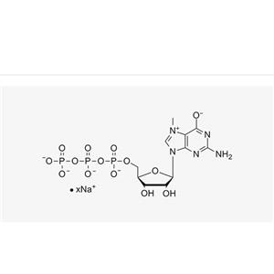 N7-Me-GTP(100 mM)