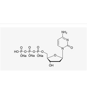 dCTP Sodium Salt Solution(100mM)