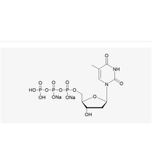 dTTP·Na2(HPLC≥99%)