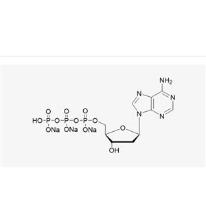 dATP Sodium Salt Solution(100 mM)