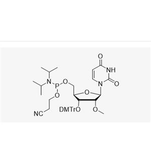 3'-DMT-2'-OMe-U-CE Reverse