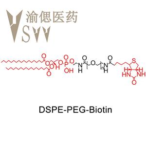 二硬脂?；字Ｒ掖及?聚乙二醇-生物素