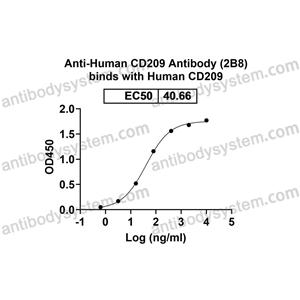 流式抗體：Human CD209 Antibody (2B8) FHJ61610