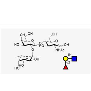 Blood type trisaccharide H Type II