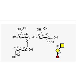 Blood type trisaccharide H Type III/IV